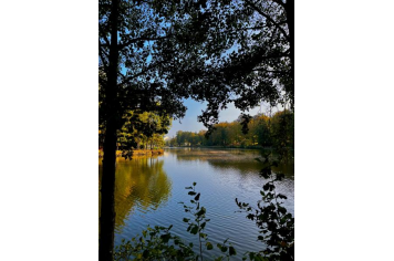 Lac automne Maelys Bouloché